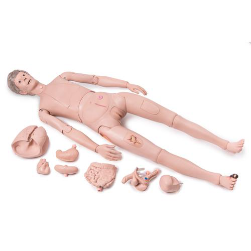 Maniquí de cuidados PRO 3B Scientific 1025295 [P10N]