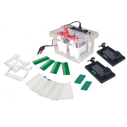 Sistemas de electroforesis horizontal Fisherbrand ™ FB-SB-1316- MIDIGEL