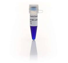 Colorante de carga de gel de ADN (6X)