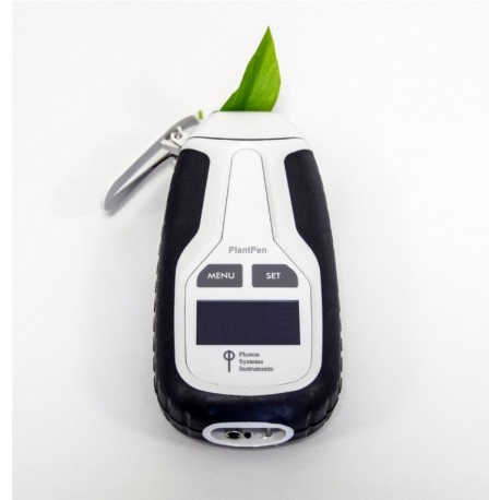 NDVI 310