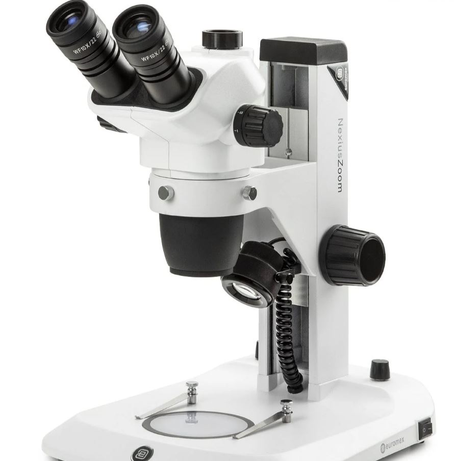 Microscopio estereoscópico trinocular de zoom de alta precisión Euromex NexiusZoom NZ1903-S