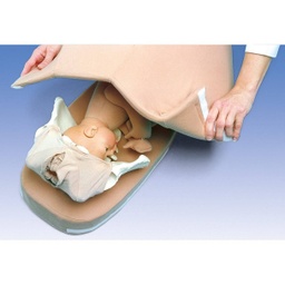 Modelo de palpación para la maniobra Leopold 3B Scientific 1005567 [W43015]