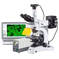 Microscopio compuesto trinocular de epifluorescencia 40x a 2500x Amscope FM820TC